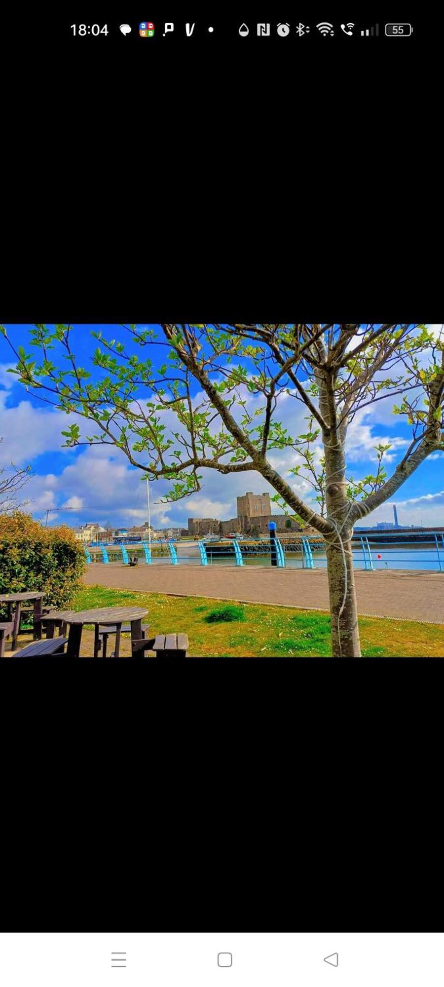 Mill Cottage Carrickfergus Dış mekan fotoğraf